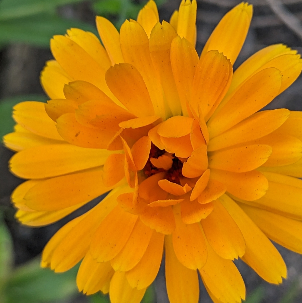 Assorted Items - Picture 4 of 6